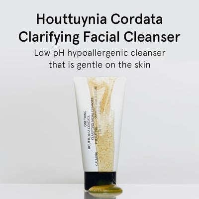 One Thing Houttuynia Cordata Clarifying Facial Cleanser