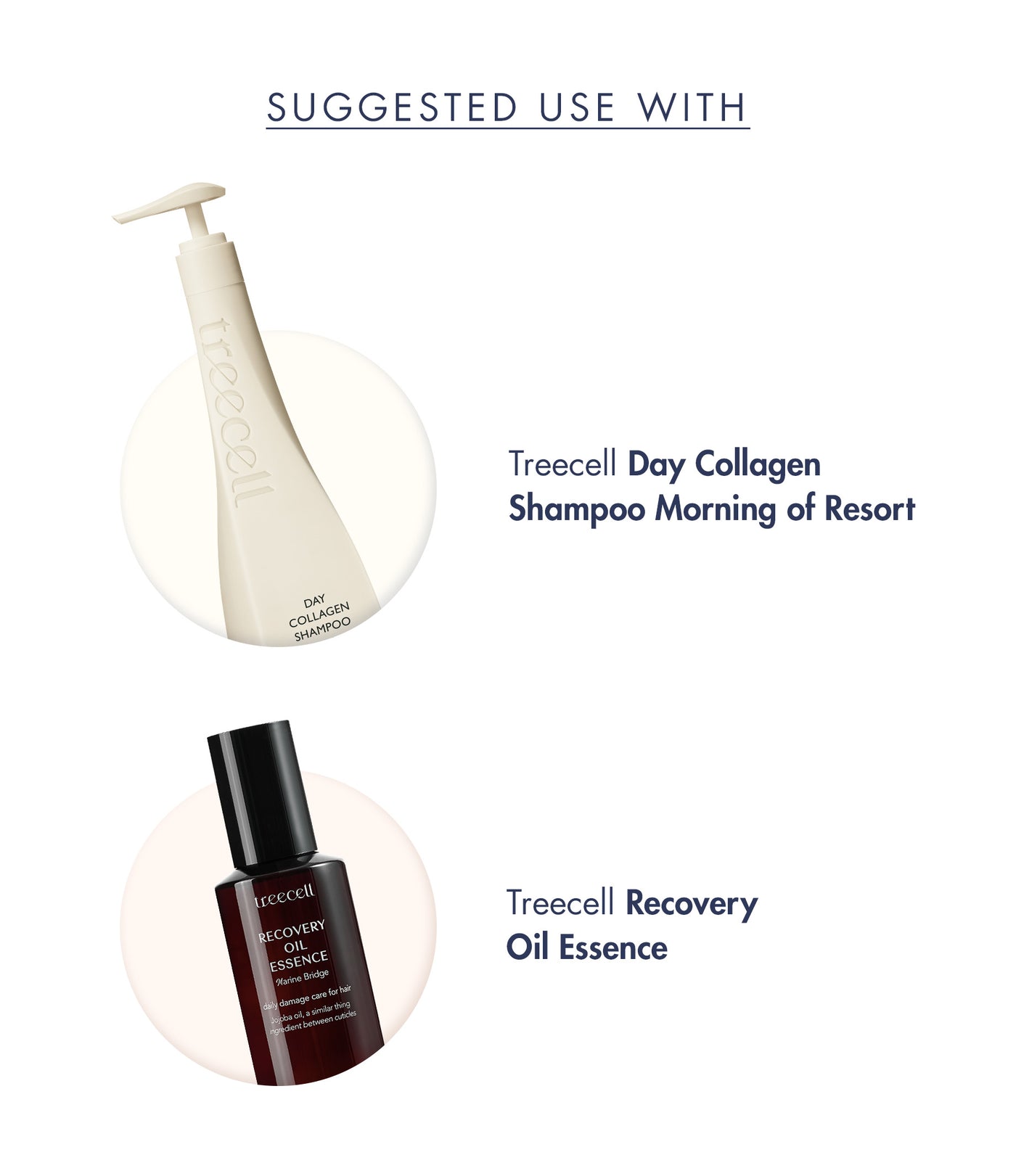 Treecell Forte Ampoule Treatment