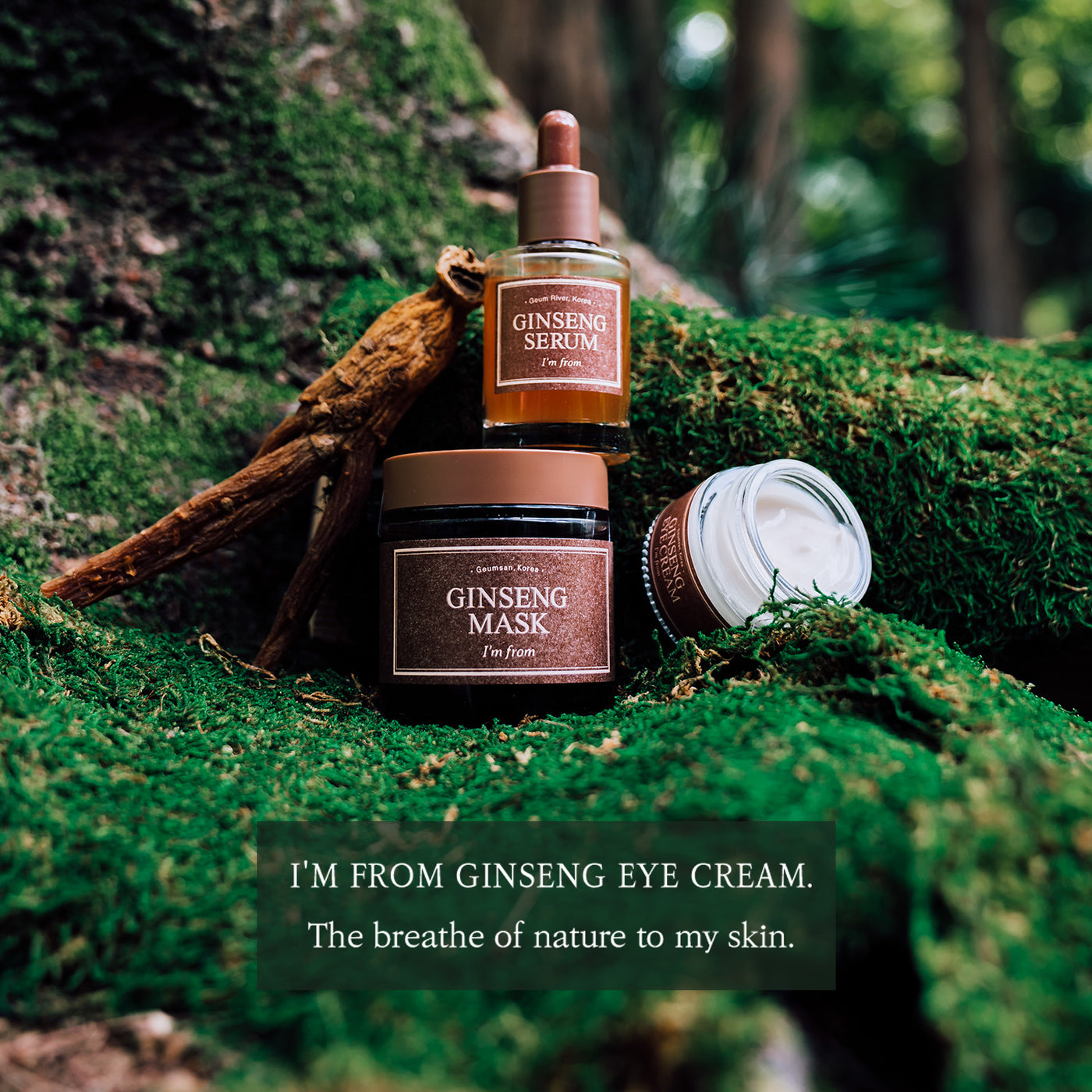 I'm From Ginseng Eye Cream