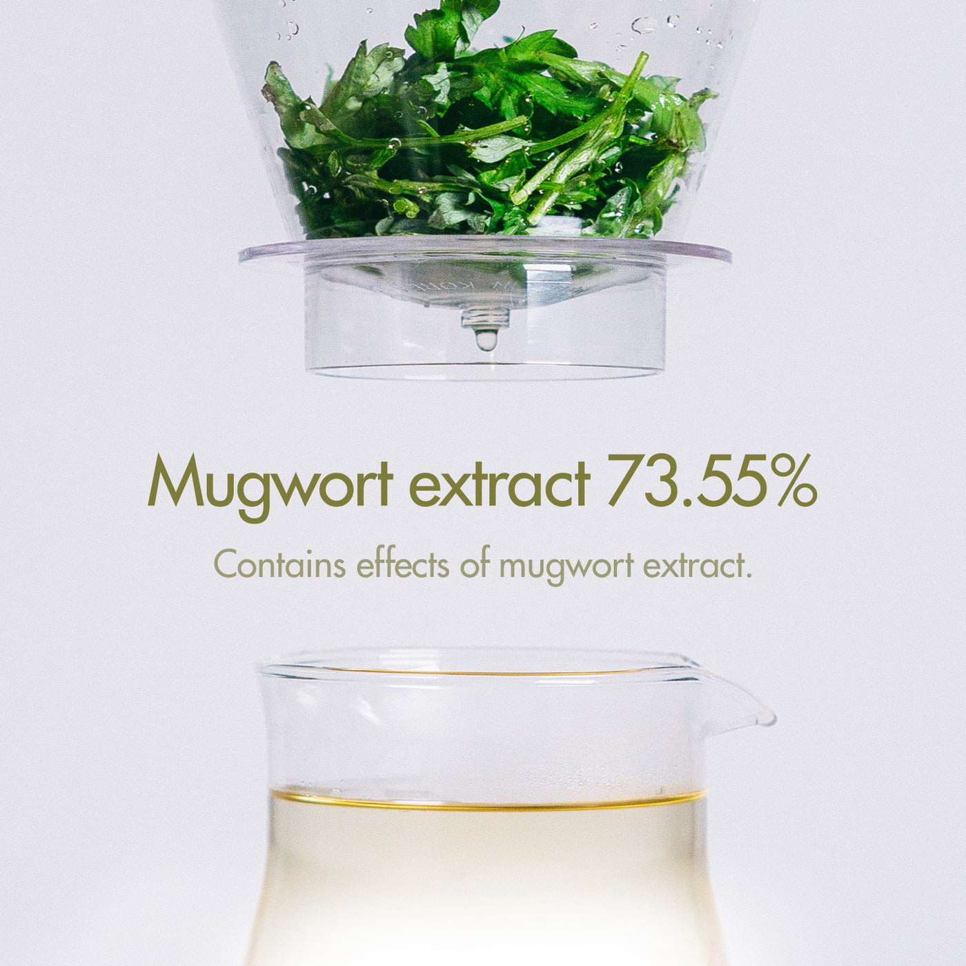 I'm From Mugwort Cream