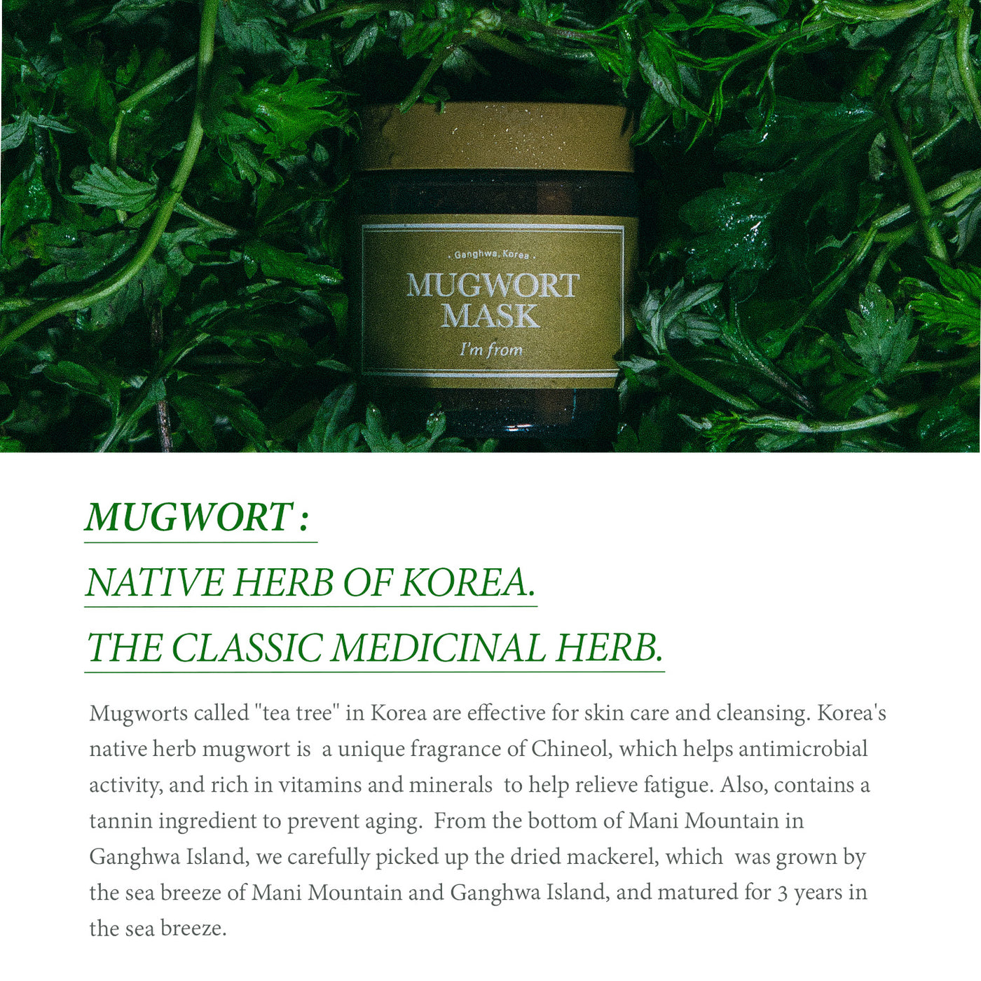 I'm From Mugwort Mask Mini