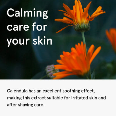 One Thing Calendula Officinalis (Pot Marigold) Flower Extract