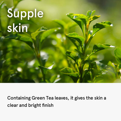 One Thing Camellia Sinensis (Green Tea) Leaf Extract