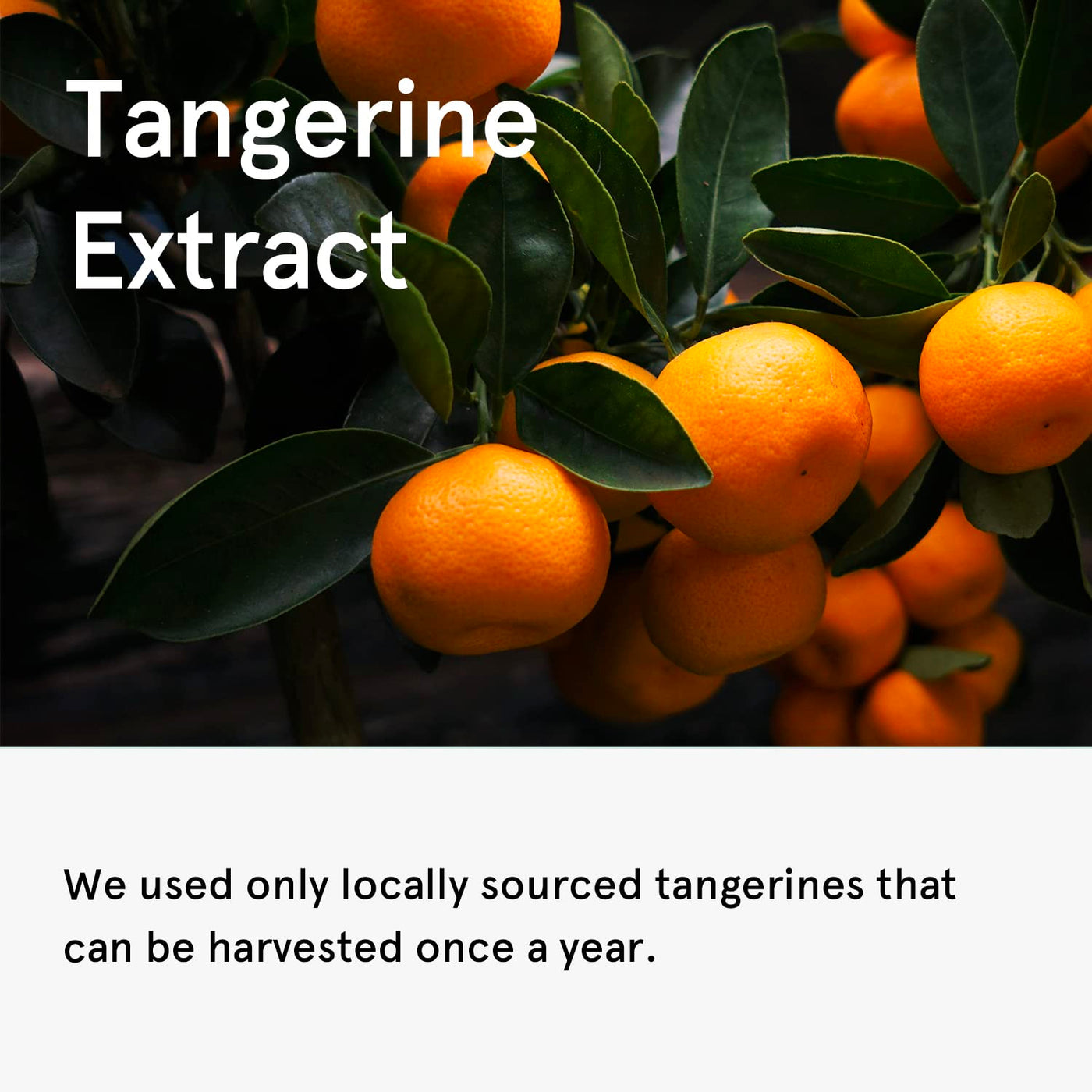 One Thing Tangerine Serum