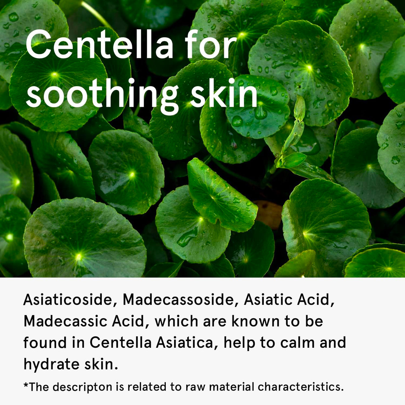 One Thing Centella Asiatica Extract