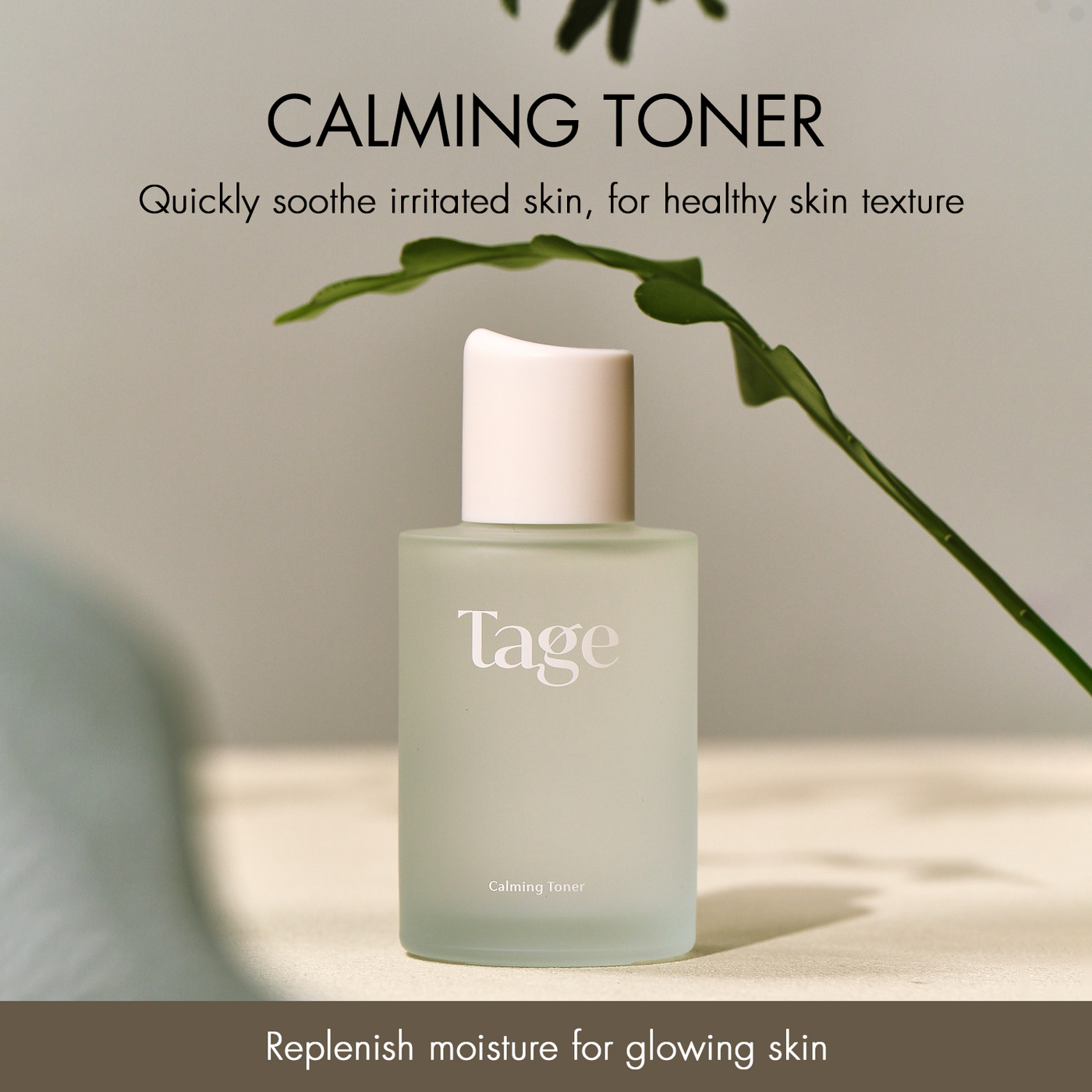 Tage Calming Toner In Cyprest